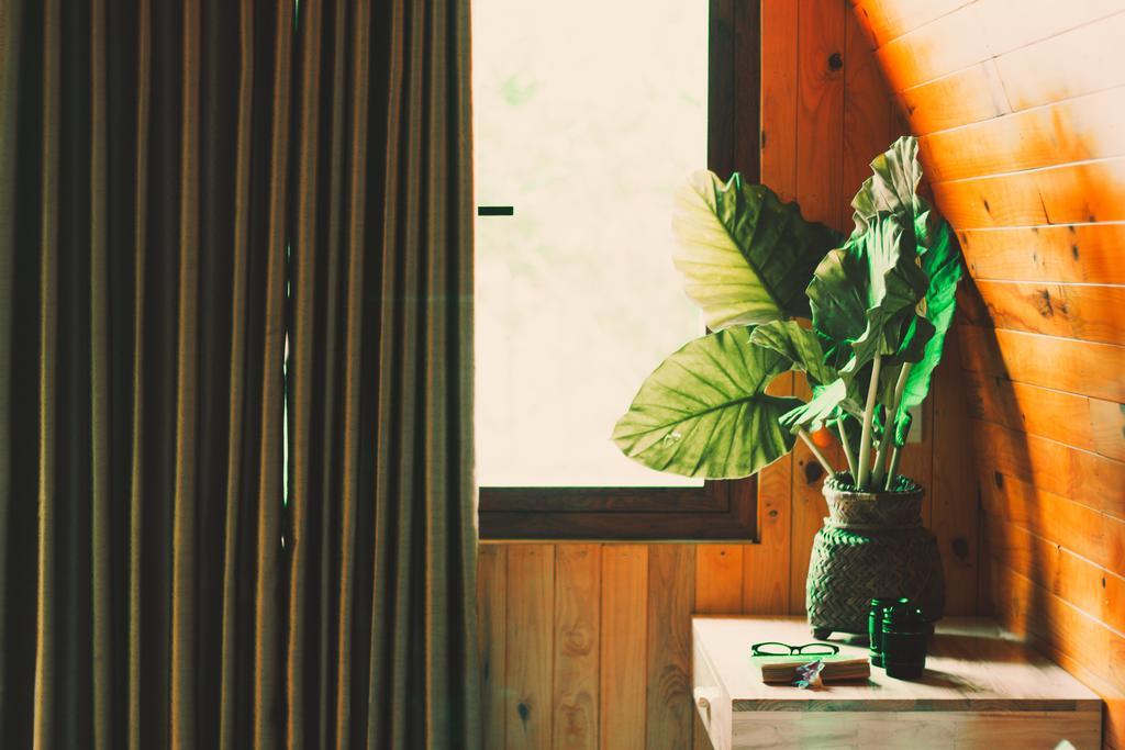 Chay Lap Farmstay Bo Trach Eksteriør billede