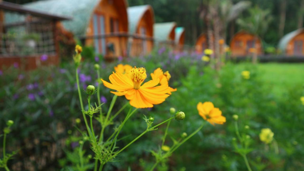Chay Lap Farmstay Bo Trach Eksteriør billede